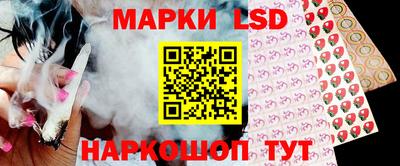 гидра Камышлов