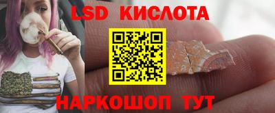 гидра Камышлов