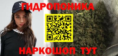 гидра Камышлов