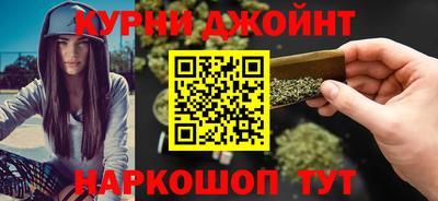 гидра Камышлов